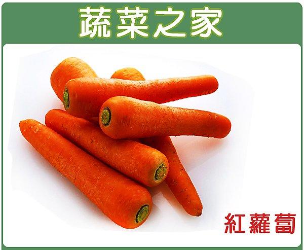 【蔬菜之家滿額免運00C01】大包裝.紅蘿蔔(胡蘿蔔)種子80克(約45000顆)