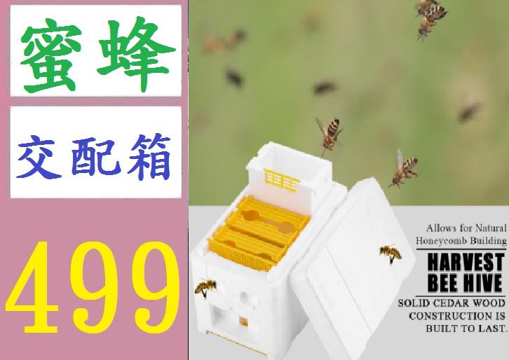 【三峽好吉市】養蜂工具 泡沫蜂箱 蜜蜂交尾箱 蜜蜂育王箱 授粉箱套裝 蜜蜂交配箱