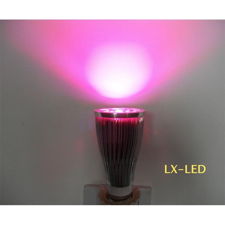 ◤AMO LED◢ LED植物燈12W 含燈座
