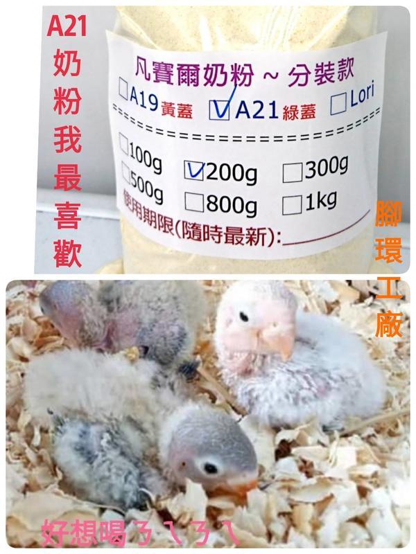 凡賽爾A21奶粉❤200g分裝包❤ 小型鸚鵡、雀科幼雛鳥適用