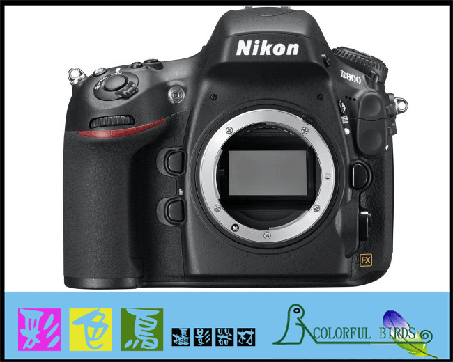 彩色鳥 (相機出租 鏡頭出租 DV出租) Nikon D800 + Nikon AF-S 85mm f1.8G D700 D300s D7000