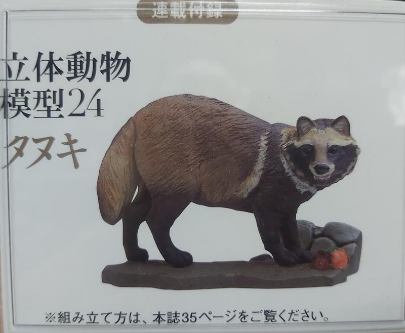 日本天然紀念物 - 圖鑑24 - 獾