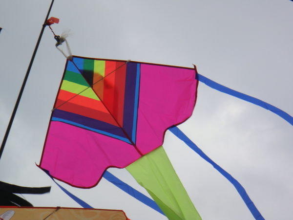 【風箏小舖】粉彩TV造型風箏--造型風箏-玻璃纖維骨架，尼龍布風箏，台灣製造工廠直營