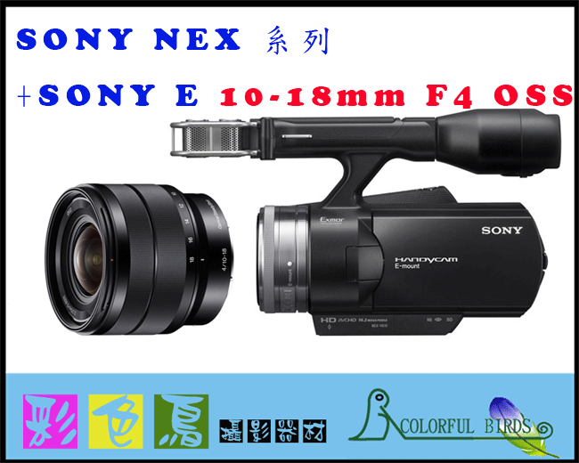 彩色鳥 (DV出租 攝影機出租 租攝影機 VG20) SONY NEX-VG10 VG10 + Sony E 10-18mm F4 OSS