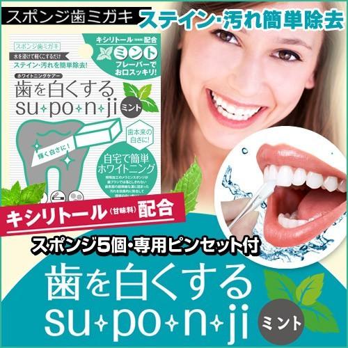 『現貨』日本製 牙齒美白 薄荷 原味Suponji 齒學博士 美白牙齒 牙齒橡皮擦 去漬海綿 口腔護理 牙齒護理