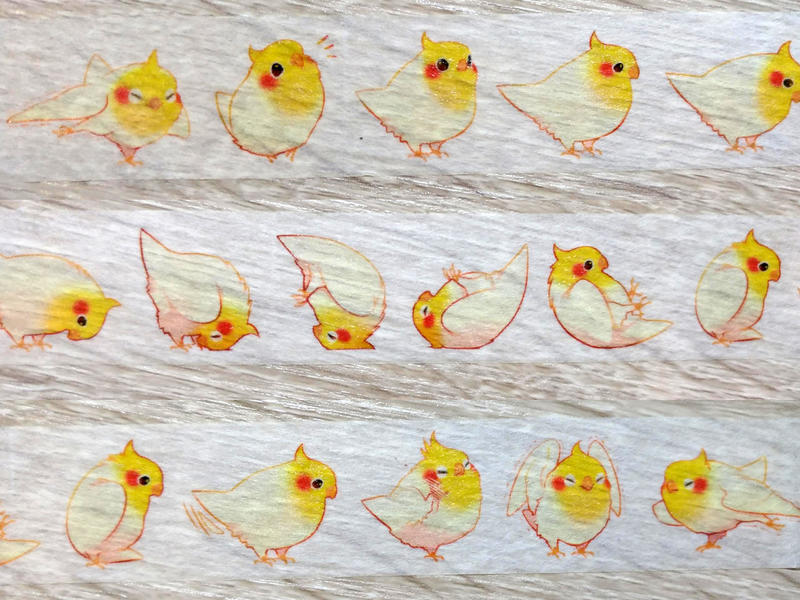 鳥文創│和紙膠帶分裝 翻滾系列 玄鳳鸚鵡2015（復刻版）│ErA BirdArt│太陽鳥、卡妹