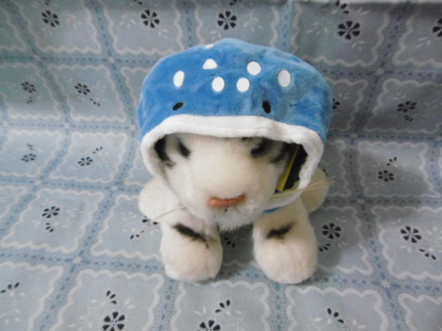 貓咪頭套-豆腐鯊