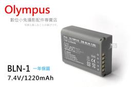 夏日銀鹽【OLYMPUS BLN 1 電池】OM D E M1 E M5 OMD EM1 EM5 E P5 EP5 相容