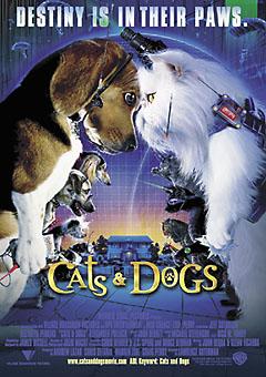 C電影卡電影明信片 貓狗大戰 Cats & Dogs