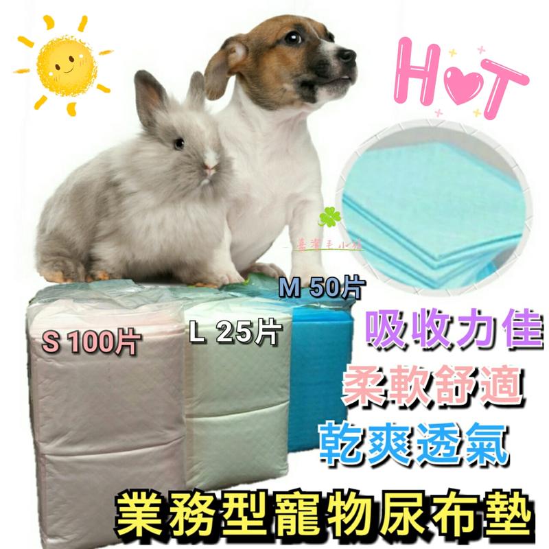 💥現貨💥 單包 業務型寵物尿布墊 寵物尿布墊 狗尿布墊 狗尿布