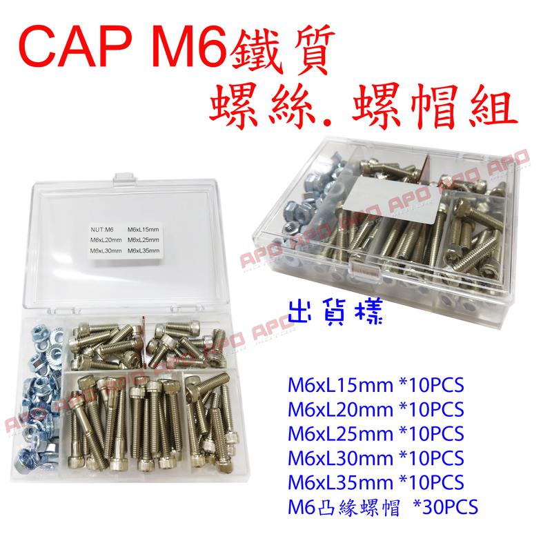 APO~F10-1~CAP鐵質螺絲螺帽組-M6款/M6螺絲/M6螺帽/一組(盒裝)$230