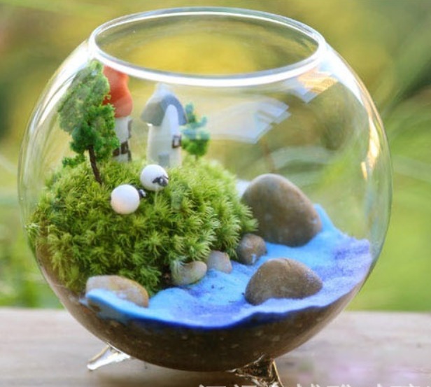 三足玻璃造景瓶 苔蘚多肉景觀瓶 水培花瓶 生態瓶