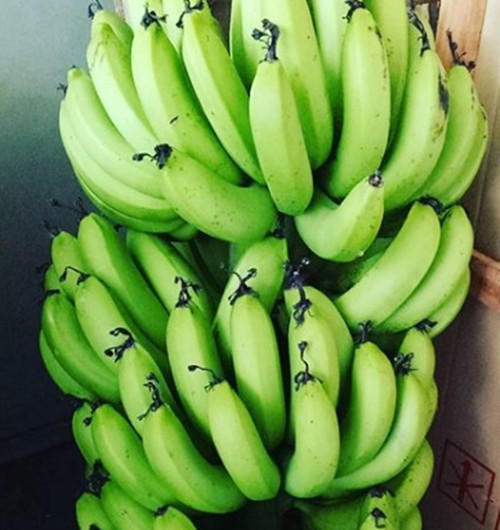 【田野仕】忘憂綠香蕉粉* Green banana flour 吃對這款「綠香蕉皮」 舒緩情緒安定心神