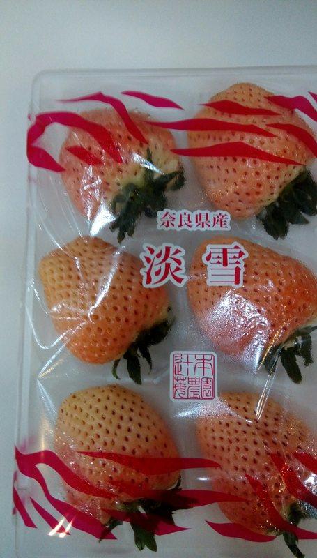 日本草莓.草莓苗. 奈良淡雪(あわゆき)粉色白草莓種子