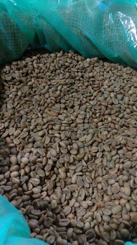 南美龐老爹咖啡 衣索比亞 Hambela 罕貝拉 Guji 谷吉產區 G-1 日曬處理 鳳梨 熱帶水果 生豆 1公斤