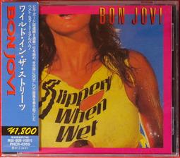 BON JOVI LP2枚 ワイルド・イン・ザ・ストリーツ他 ディスクレビュー】ボン・ジョヴィの名盤アルバム『ワイルド