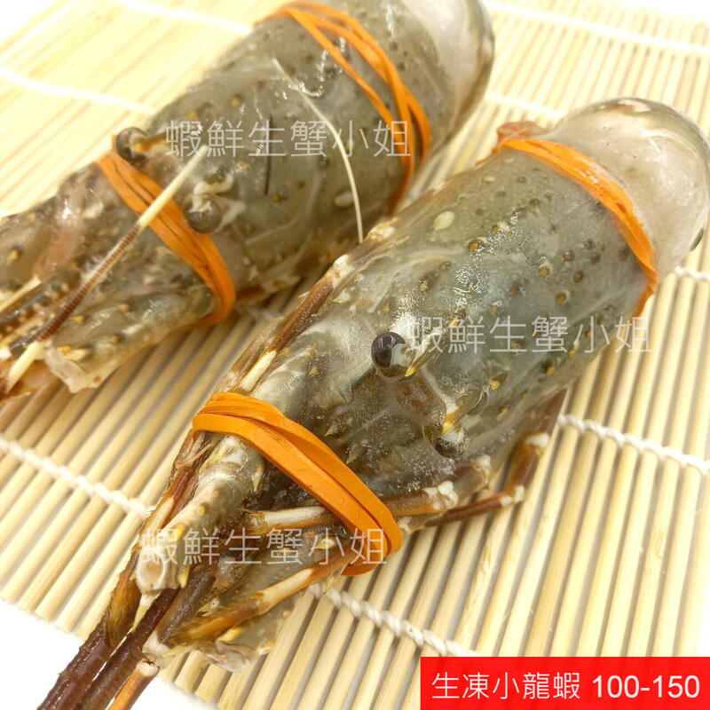 【海鮮7-11】   生凍小龍蝦   100-150克/隻  *肉質紮實、細緻鮮嫩！**每隻160元**