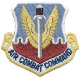 美軍 公發 AF-P01A 飛行夾克用臂章 空中戰鬥指揮部 AIR COMBAT CMD 臂章 無魔鬼氈 USAF