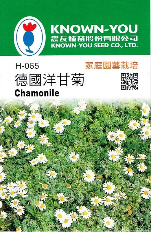 尋花趣-德國洋甘菊Chamonile(H-065) 洋甘菊 農友種苗  香藥草 種子 每包約500粒