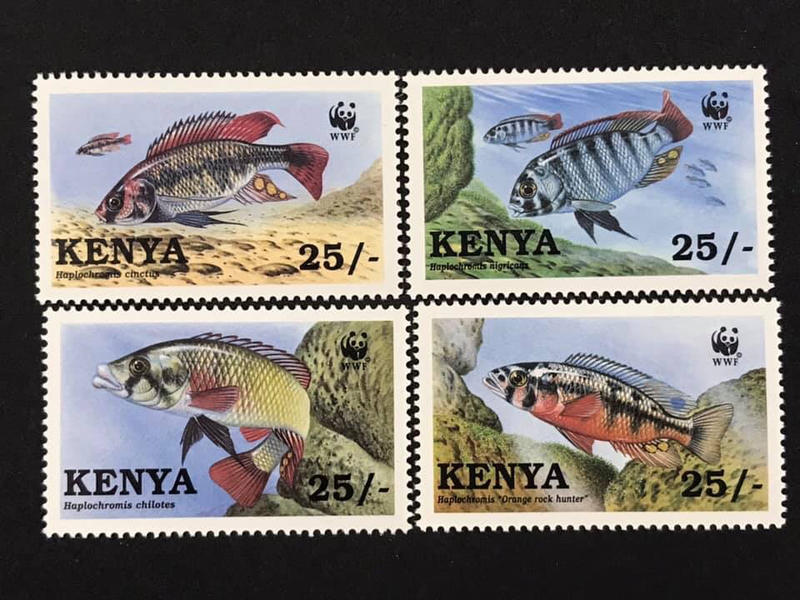 1991 #肯亞 #WWF魚類保護 套票4全 100元