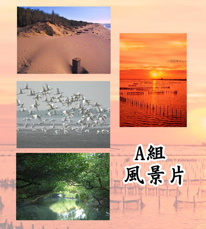 **代售郵票收藏**2020 台江國家公園郵票原圖明信片 (攝影版本) 全4張 P1250-1a