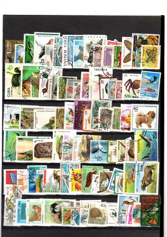二手世界各國動物郵票100張，無重複，如圖
