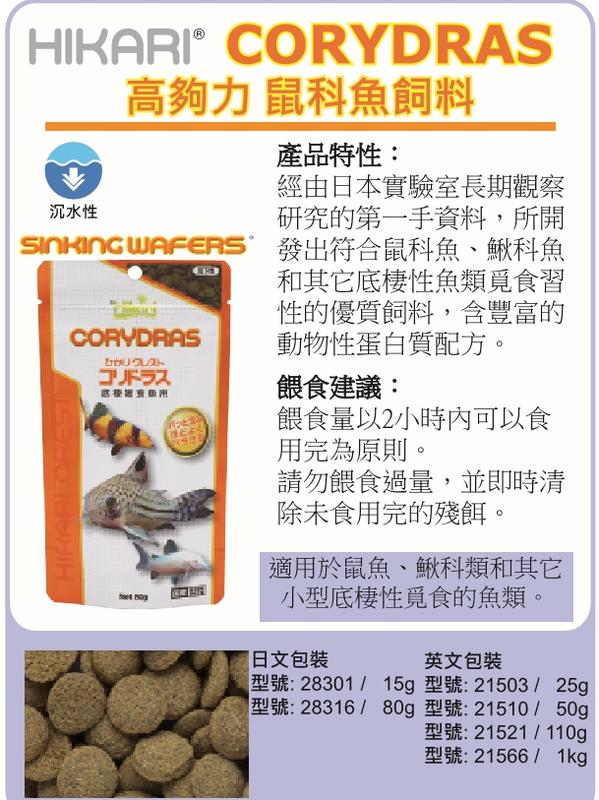 大希水族~21510日本版原裝進口 Hikari高夠力鼠魚專用營養飼料 雜食性50g