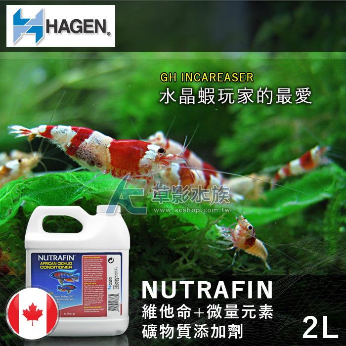 【AC草影】HAGEN 赫根 維他命+微量元素礦物質添加劑（2L） 【一瓶】水晶蝦 玩家最喜歡使用