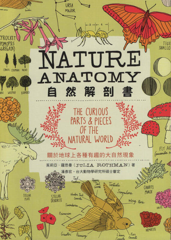 【采薇樓】全新書《自然解剖書：關於地球上各種有趣的大自然現象》遠流│9789573287339│茱莉亞．羅思曼