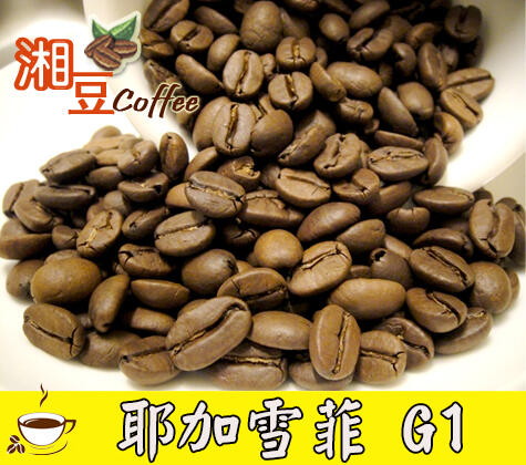 ~湘豆咖啡~附發票 耶加雪飛 畢洛亞合作社 G1 (莊園) 咖啡豆 水洗 / 咖啡豆 半磅(225公克) 中微淺烘焙