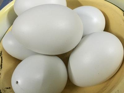 現貨 假鵝蛋 模擬鵝蛋 玩具 鵝蛋 引產蛋 模型 家家酒 塗鴉繪畫蛋 教具 鵝蛋 洗澡玩具 仿真鵝蛋 彩蛋 空心 催生蛋
