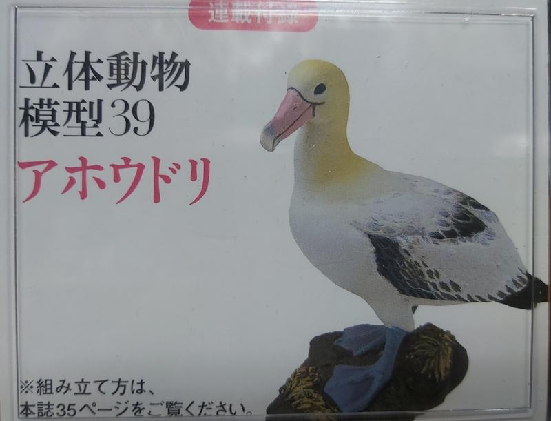 日本天然紀念物 - 圖鑑39 - 軍艦鳥