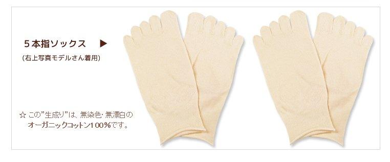 百病起於寒 夏季排毒 100%日本製 替換襪_第二層2雙 (五指綿襪)