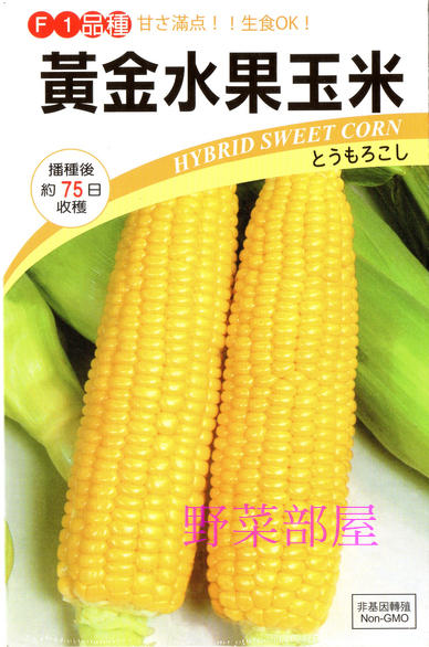 【野菜部屋~中包裝】N05 黃金水果玉米種子90公克(約750顆種子) , 果穗比一般的大 , 甜度高 , 品質棒 ~