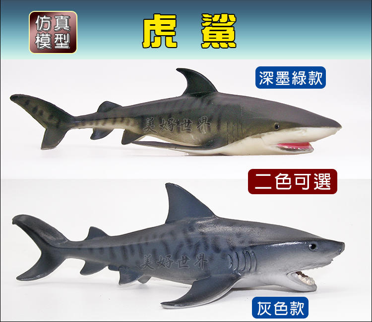 【虎鯊 鯊魚 Shark】二色可選 優質仿真模型 海洋動物_水族 風水 益智 擺飾 玩具 教育 自然保育_新品現貨 面交
