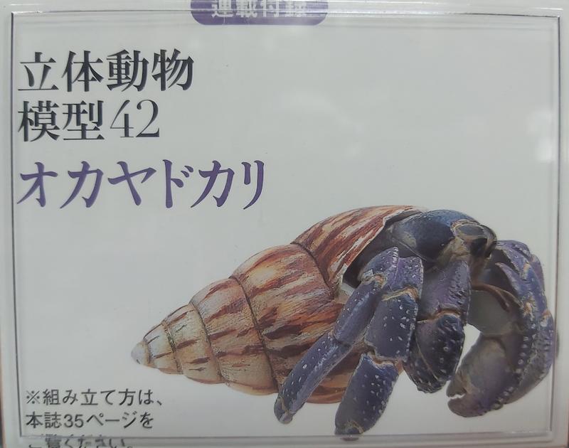 日本天然紀念物 - 圖鑑42 - 寄居蟹