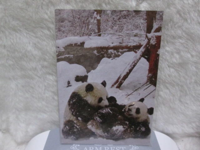2009團團圓圓在台北 熊貓 明信片