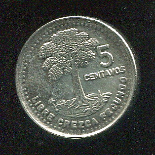 【錢幣】Guatemala(瓜地馬拉)，5 Cent ，K276.4，1992，品相全新 UNC國際#19051139 