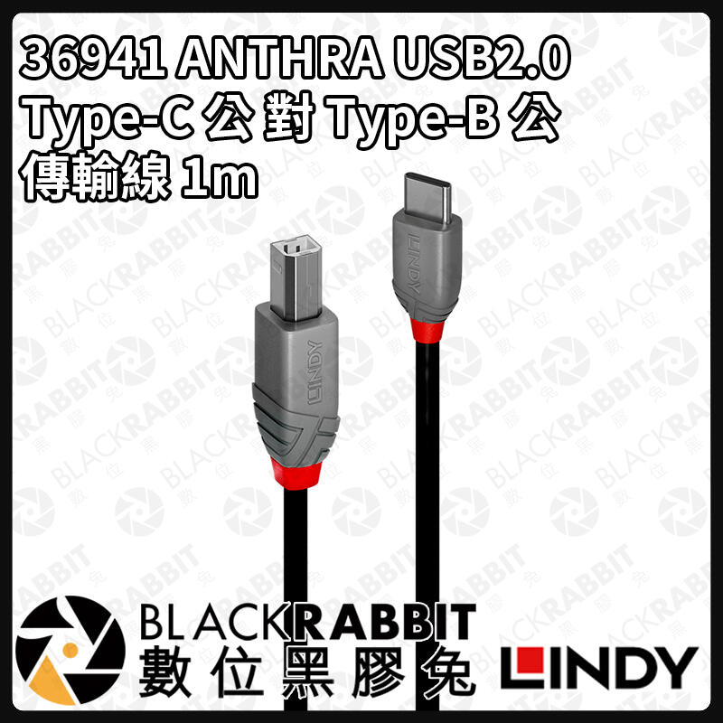 數位黑膠兔【 LINDY 林帝 36941 USB2.0 Type-C 公 對 Type-B 公 傳輸線 1m 】   
