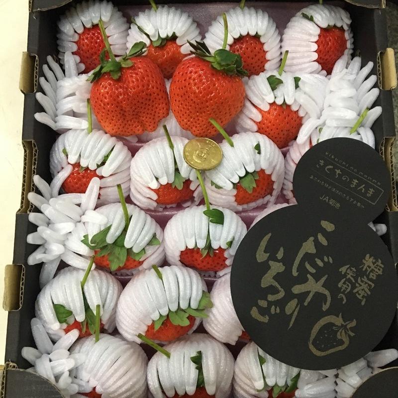 日本草莓.草莓苗. 菊池 蜜糖(ひのしずく)草莓種子