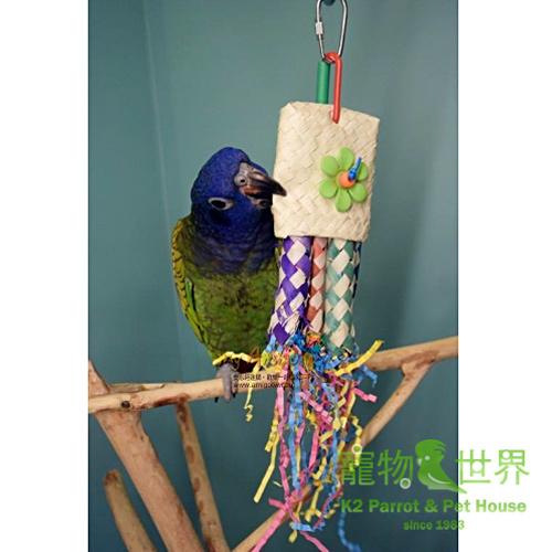 缺《寵物鳥世界》Amigo 阿迷購 美國舒寶 花花火箭 /鳥玩具 AM0185