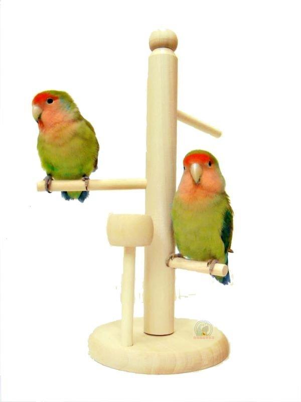 LOVEBIRD->小鳥遊戲休憩小站臺/輕巧、方便/適合愛情鳥、虎皮、白文、橫斑等小型鳥/特價6折中