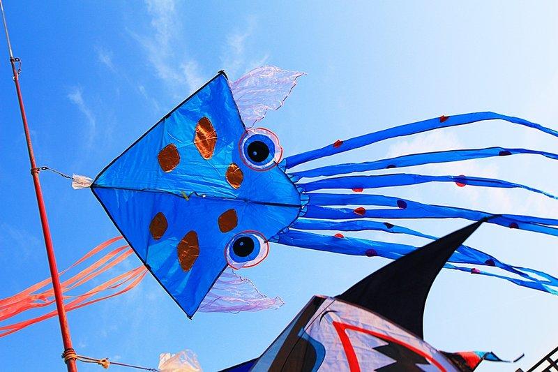 【風箏小舖】八爪管尾章魚風箏 立體風箏-玻璃纖維 骨架 平紋布 造型風箏
