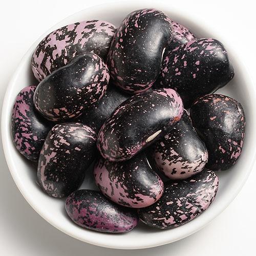 北海道紫花豆
