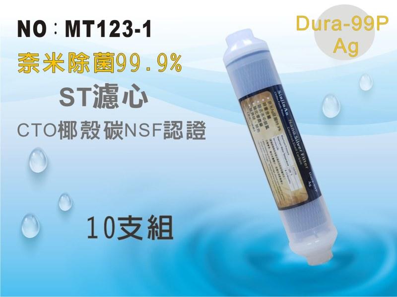 【龍門淨水】ST 奈米除菌99.9%濾心 10支 後置濾心 淨水器 飲水機(MT123-1)