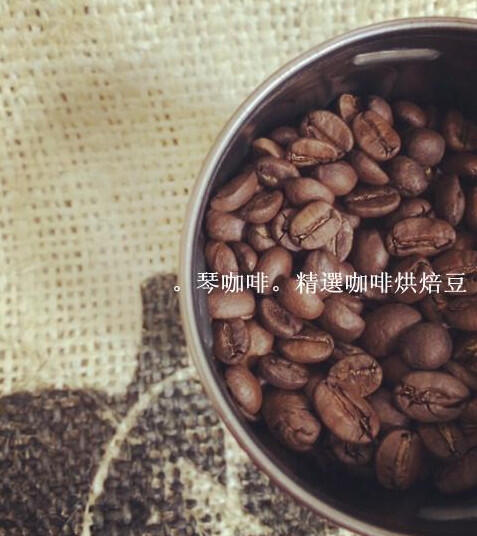 〈琴咖啡〉義式咖啡豆 ● 北義 / 南義 1磅 拿鐵 手沖 美式 拉花