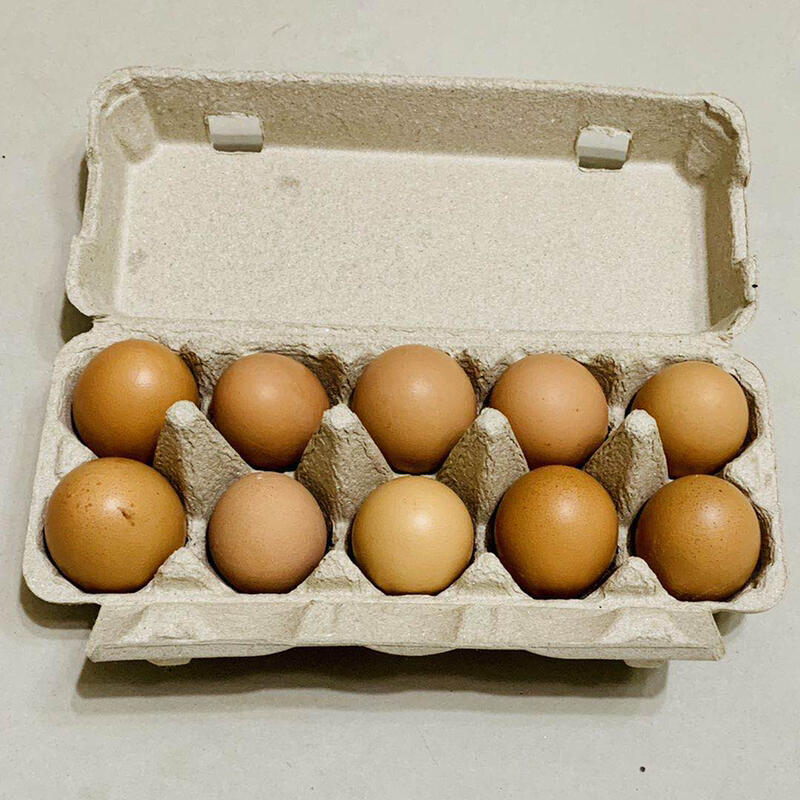 小農「土 雞 蛋」－#土雞蛋#雞蛋