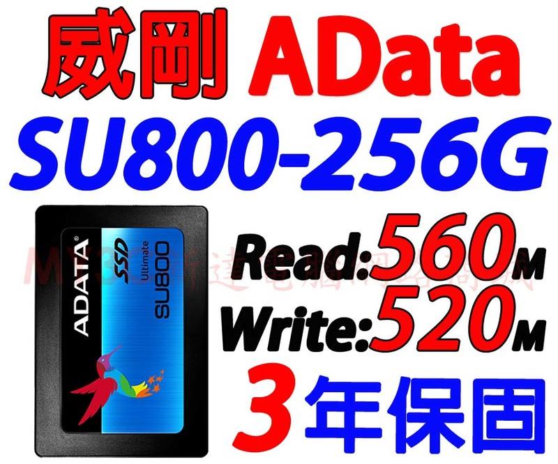 威剛 SSD SU800 256G 另有 Intel 美光 創見 128G 120G 240G 硬碟 固態硬碟