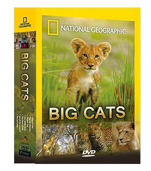 全新-大貓世界DVD 一套7片入-購入即享出版社五八折優惠-國家地理頻道-獅子豹老虎