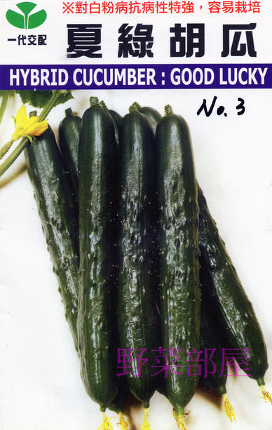 【野菜部屋~】K61 日本夏綠小黃瓜種子3.5公克 , 抗白粉病 , 耐熱性強 ,每包180元 ~